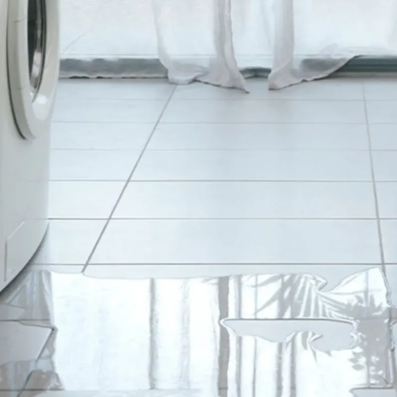 Appliance Leak Cleanup in Rosamond, CA